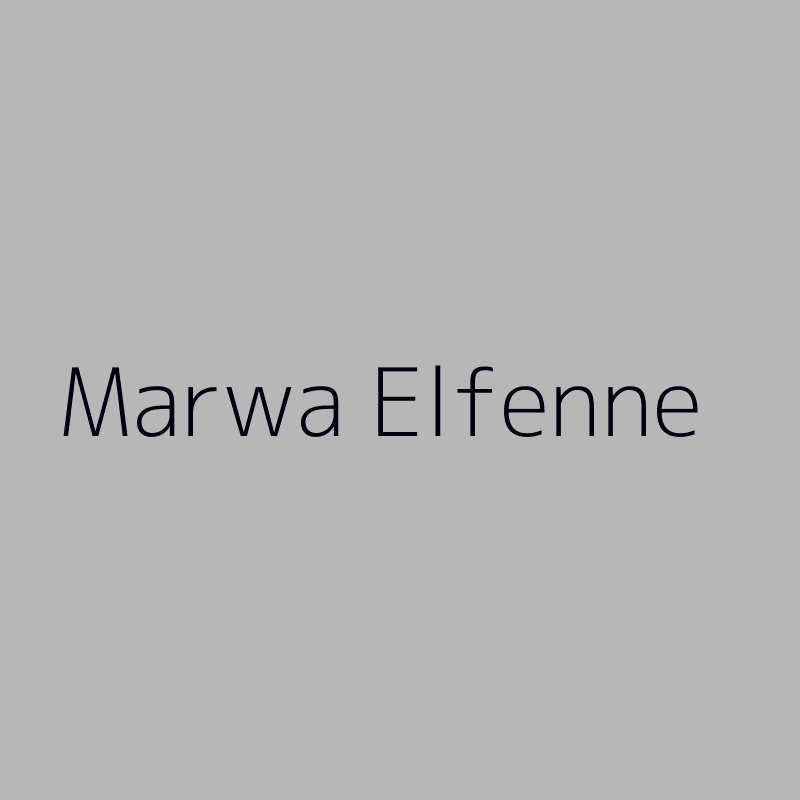 Marwa Elfenne 